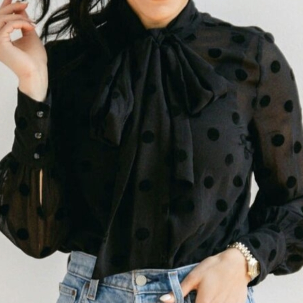 Mesh polka dot blouse